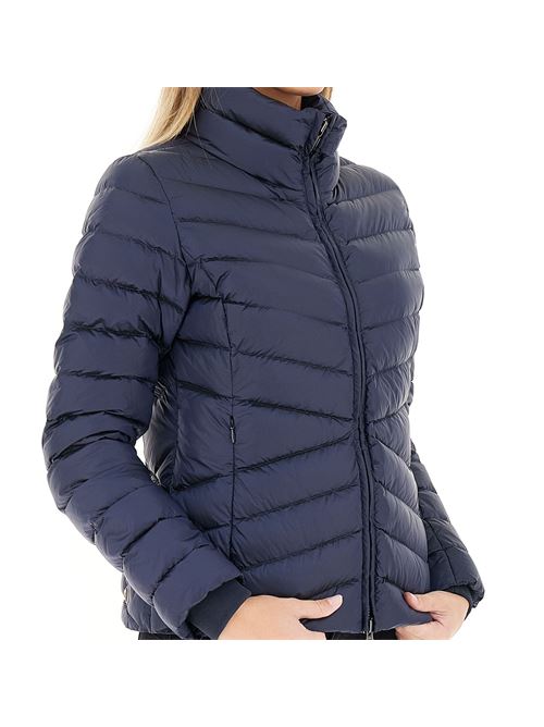  COLMAR | 2229 2YO/68